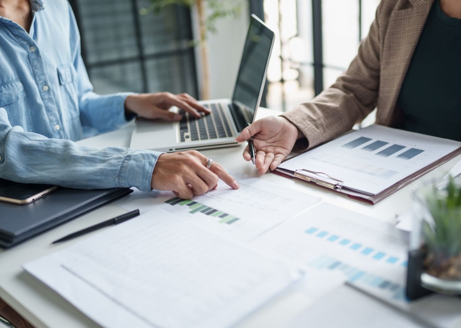 ERP vs Accounting